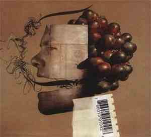 Food - Organic & GM Food