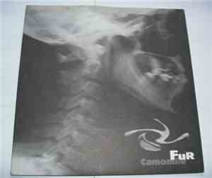 Fur  - Camomile