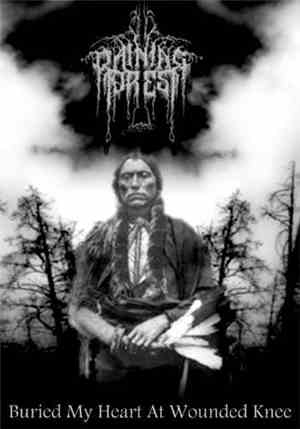 Raining Forest - Buried My Heart At Wounded Knee