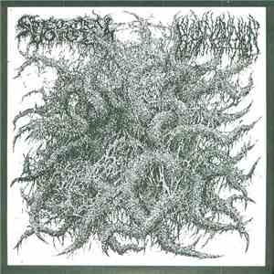 Spectral Voice / Blood Incantation - Spectral Voice / Blood Incantation