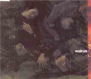Walrus - 空の心