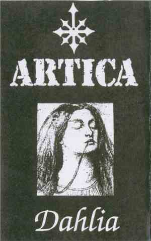Artica  - Dahlia