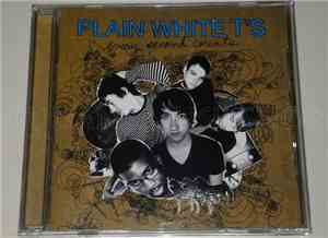Plain White T's - Every Second Counts