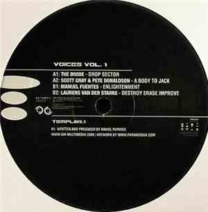 Various - Voices Vol. 1