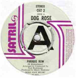 Dog Rose - Paradis Row