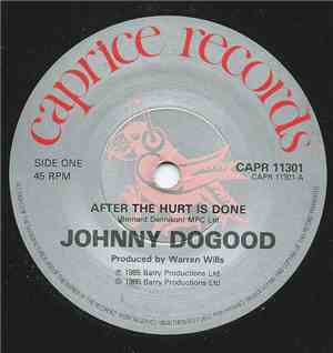 Johnny Dogood - After The Hurt Is Done