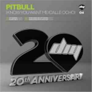 Pitbull - I Know You Want Me (Calle Ocho)