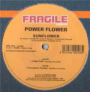 Power Flower  - Sunflower