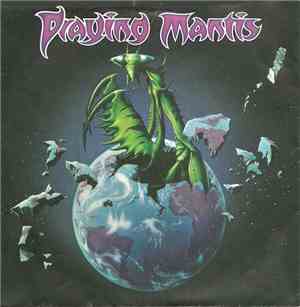 Praying Mantis  - Praying Mantis