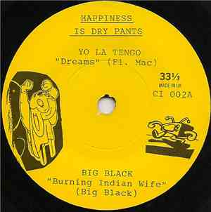 Various - Happiness Is Dry Pants