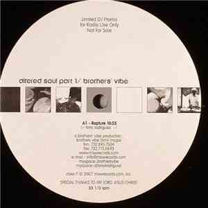 Brothers' Vibe - Altered Soul Part 1