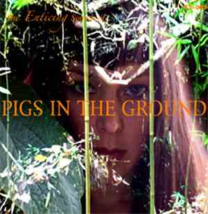 Pigs In The Ground - The Enticing Sounds Of....