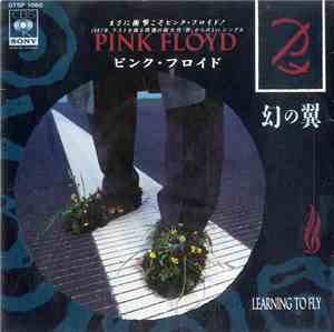 Pink Floyd - Learning To Fly