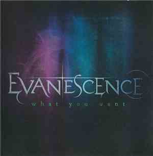 Evanescence - What You Want