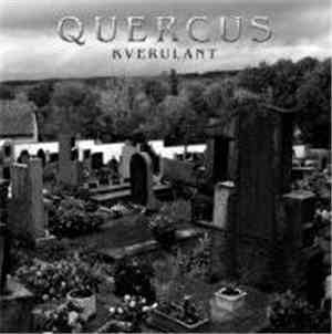 Quercus - Kverulant