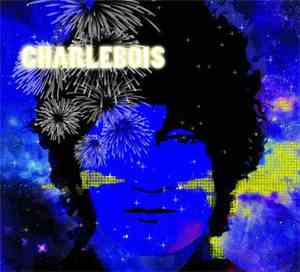Robert Charlebois - Tout est bien