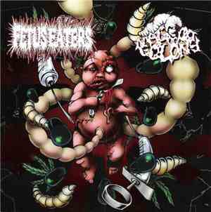 Fetus Eaters / Maggot Colony -  Fetus Eaters / Maggot Colony