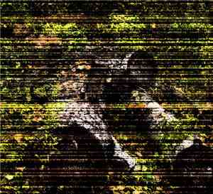 Wall Destruction - Kamushek Da Drevesina