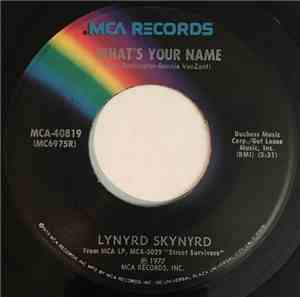 Lynyrd Skynyrd - What's Your Name