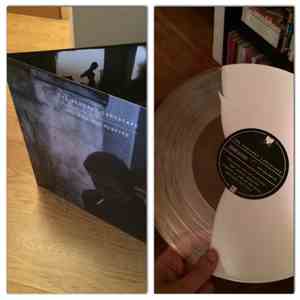 The Saddest Landscape - You Will Not Survive