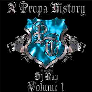 DJ Rap - A Propa History Volume 1