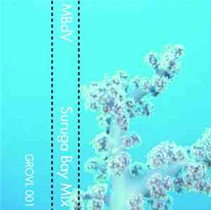 More Bile De Vices - Suruga Bay Mix
