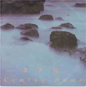 B·F·G - Coming Home / Firefly