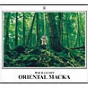 Macka-Chin - Oriental Macka