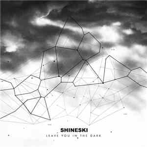Shineski - Leave You In The Dark