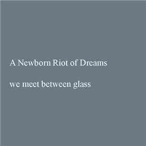 A Newborn Riot Of Dreams - We Meet Between Glass