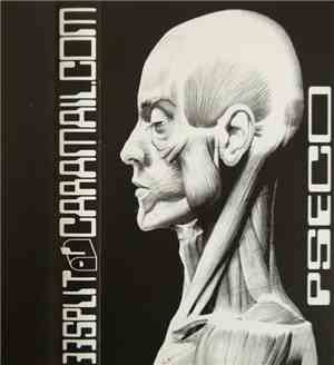 Pseco - Capsule