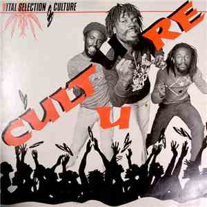 Culture - Vital Selection