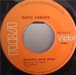David Cassidy - Get It Up For Love