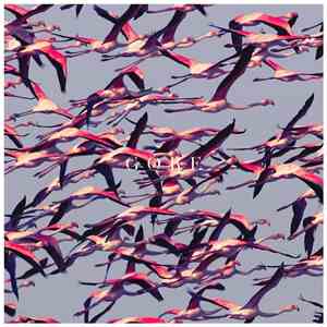 Deftones - Gore
