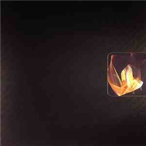 Endian - Birdhouse / DBPLT01