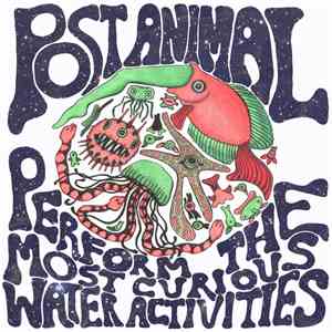 Post Animal - Post Animal Perform the Most Curious Water Activities