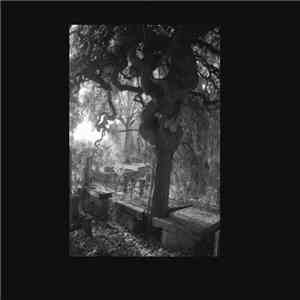 Spleen XXX - Poems Of Charles Baudelaire