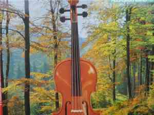 Various - Musik Einer Landschaft- Folge 1 4 X Musikschule Des Hochsauerlandkreises