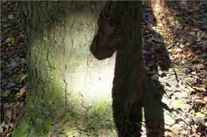 Achnn - Exercice 1 # Luz