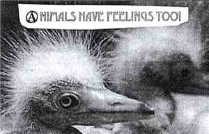 Various - Animals Have Feelings Too!
