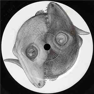 Foetusdreams & Mig  - Rephrasing Memory / Scaremonger