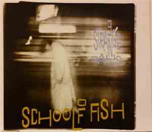 School Of Fish - 3 Strange Days