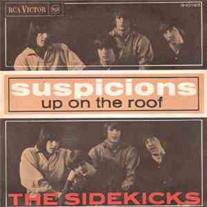 The Sidekicks  - Suspicions (Sospechas)