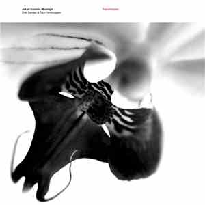 Art Of Cosmic Musings - Dirk Serries & Teun Verbruggen - Transmission