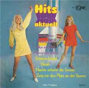 Orchester Udo Reichel - Hits Aktuell