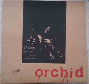 Orchid  - Orchid