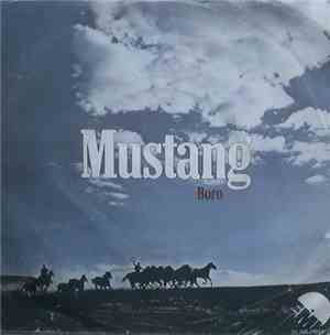 Boro - Mustang
