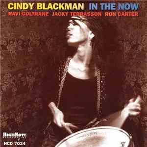 Cindy Blackman - In The Now