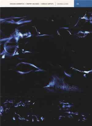 Evelina Domnitch + Dmitry Gelfand + Various - Camera Lucida