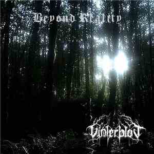 Vinterblot - Beyond Reality